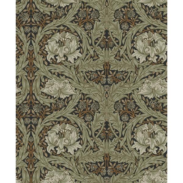 a street prints African Marigold Black Floral Wallpaper