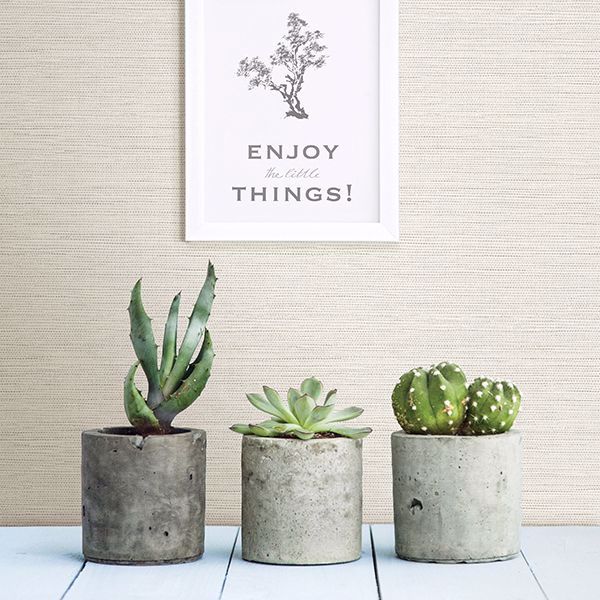 A Street Prints Agave Bliss Light Grey Faux Grasscloth Wallpaper