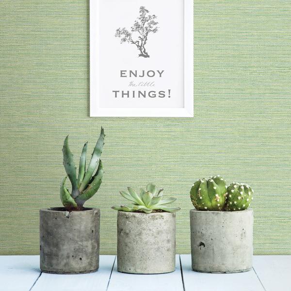 A Street Prints Agave Green Imitation Grasscloth Wallpaper
