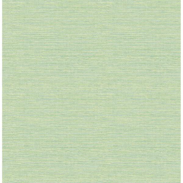 a street prints Agave Green Imitation Grasscloth Wallpaper