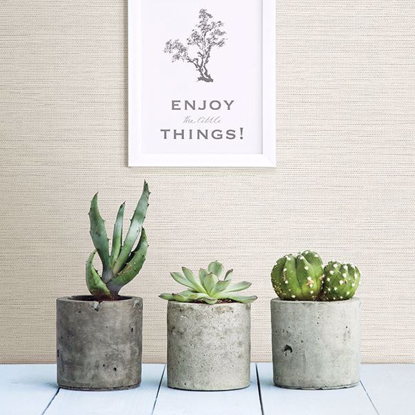A Street Prints Agave Off-White Faux Grasscloth Wallpaper