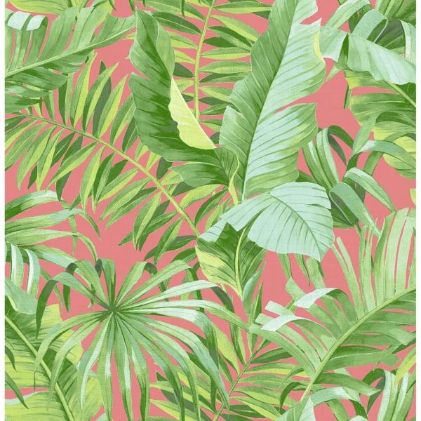 a street prints Alfresco Coral Tropical Palm Wallpaper