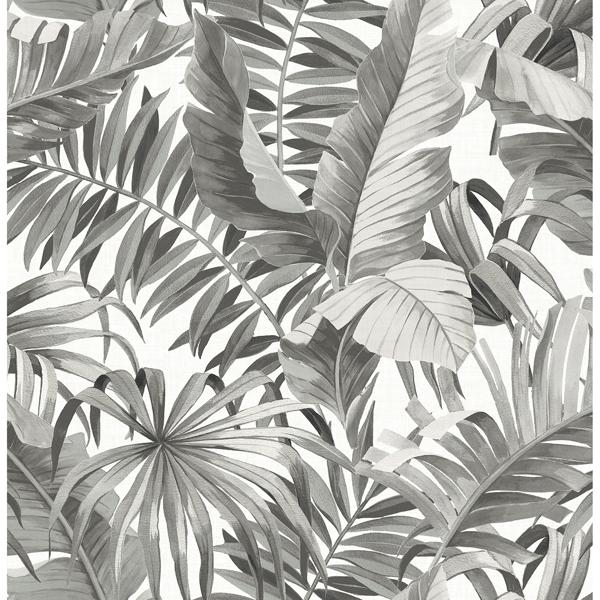a street prints Alfresco Grey Tropical Palm Wallpaper