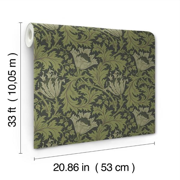 A Street Prints Anemone Dark Green Floral Trail Wallpaper