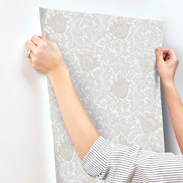 A Street Prints Anemone Dove Floral Trail Wallpaper