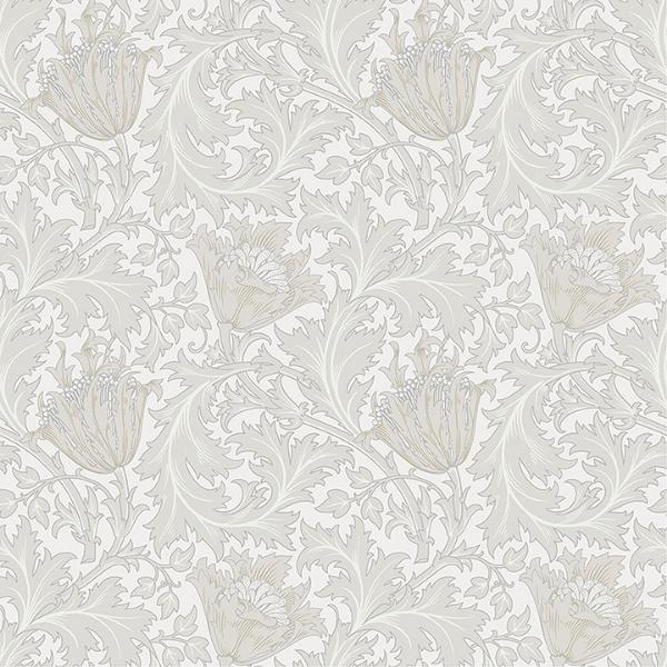 a street prints Anemone Dove Floral Trail Wallpaper