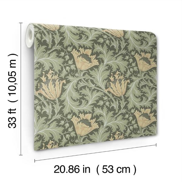 A Street Prints Anemone Moss Floral Trail Wallpaper