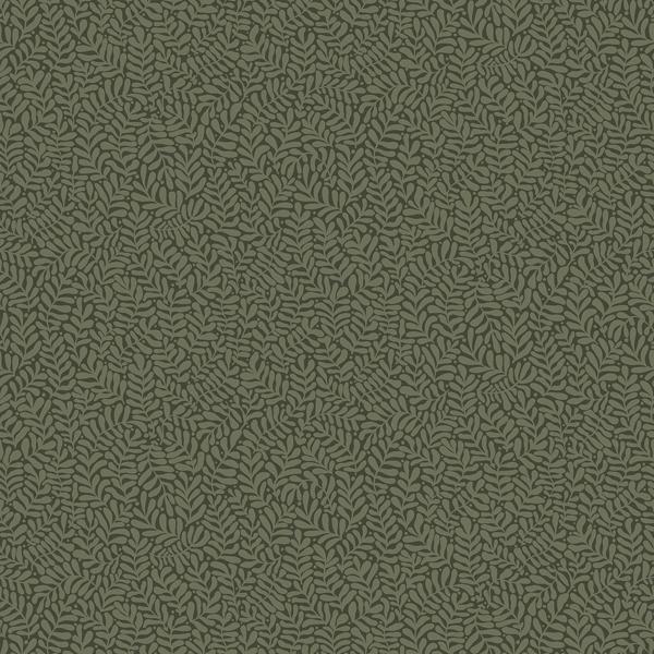 a street prints Anna Dark Green Fern Trail Wallpaper