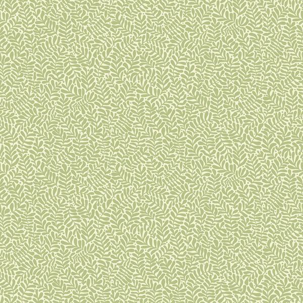 a street prints Anna Light Green Fern Trail Wallpaper