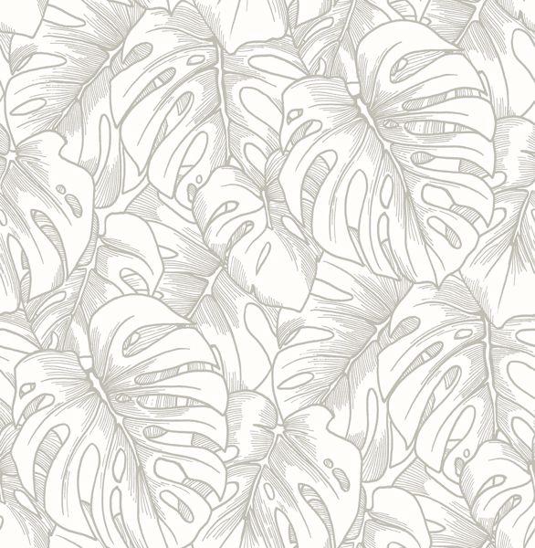 a street prints Balboa Silver Botanical Wallpaper- Scott Living