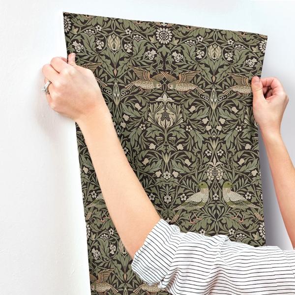 A Street Prints Bird Brown Floral Thicket Wallpaper