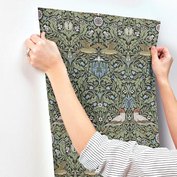 A Street Prints Bird Multicolor Floral Thicket Wallpaper