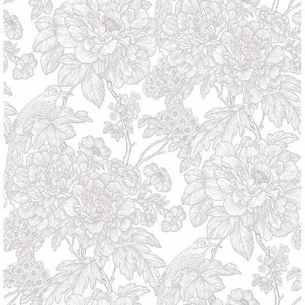 a street prints Birds of Paradise Breeze Grey Floral Wallpaper