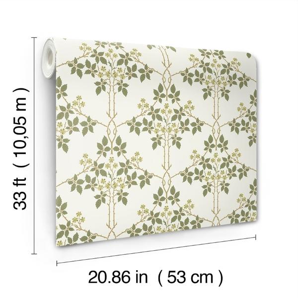 A Street Prints Blackberry Chartreuse Vine Trellis Wallpaper