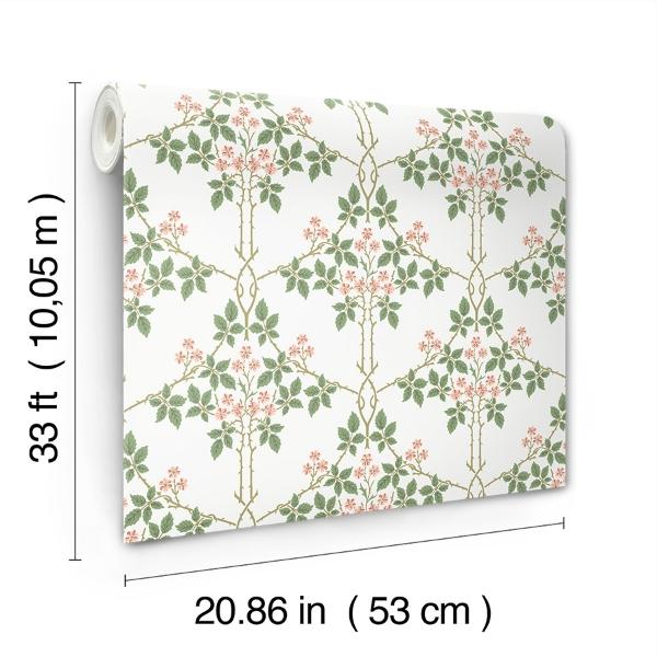 A Street Prints Blackberry Pink Vine Trellis Wallpaper