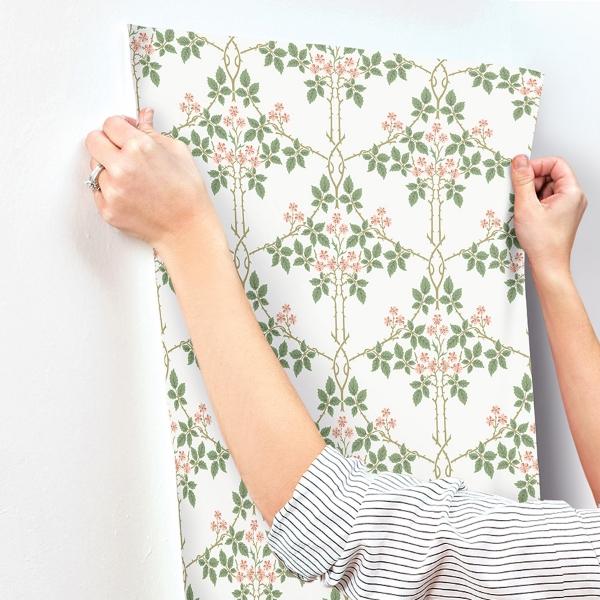 A Street Prints Blackberry Pink Vine Trellis Wallpaper