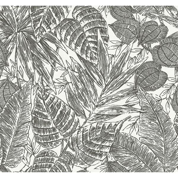 a street prints Brentwood Black Palm Leaves Wallpaper by Scott Living