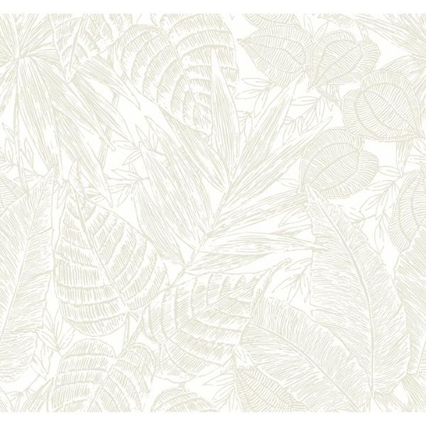 a street prints Brentwood Bone Palm Leaves Wallpaper by Scott Living