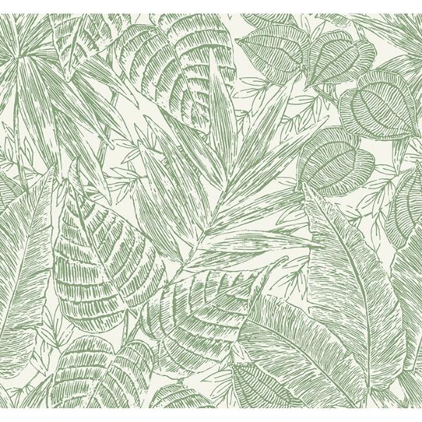 a street prints Brentwood Green Palm Leaves Wallpaper by Scott Living