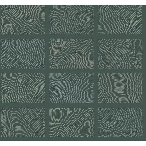 a street prints Bronson Evergreen Topography Wallpaper