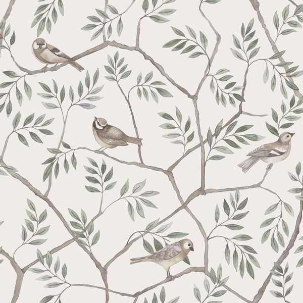 a street prints Crossbill Off-White Branches Wallpaper