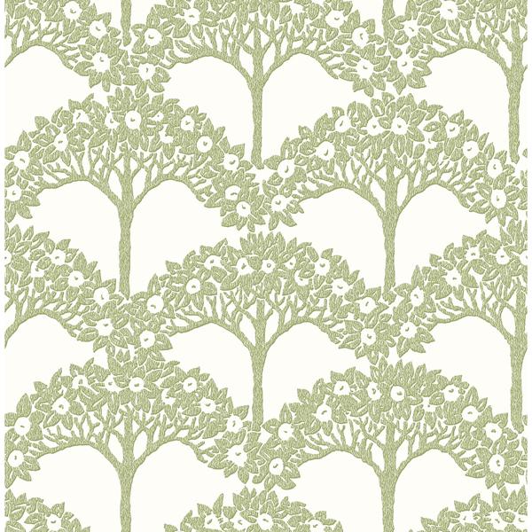 a street prints Dawson Green Magnolia Tree Wallpaper