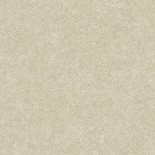 a street prints Duchamp Champagne Metallic Texture Wallpaper