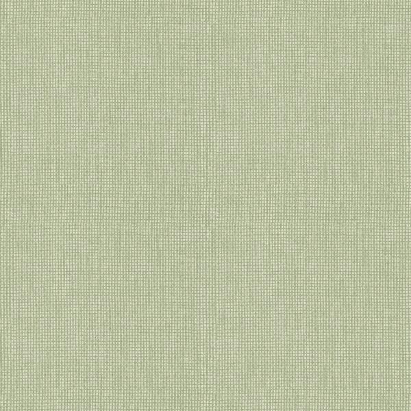 a street prints Dunstan Green Basketweave Wallpaper