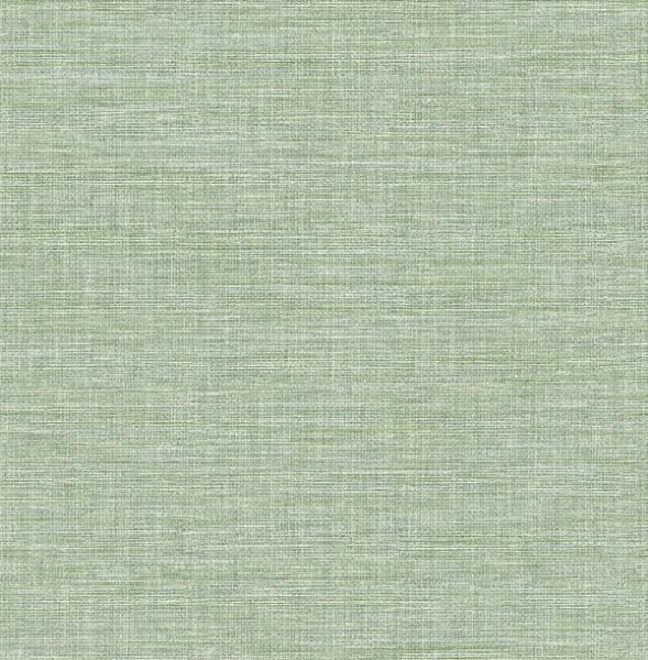 a street prints Exhale Light Green Texture Wallpaper