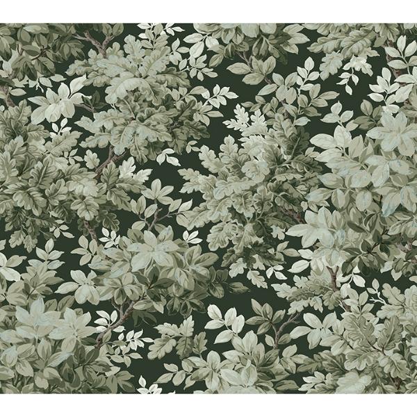 a street prints Greenwood Dark Green Deciduous Wallpaper