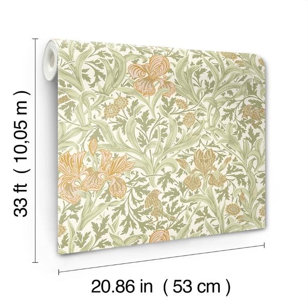 A Street Prints Iris Light Green Wild Gardens Wallpaper