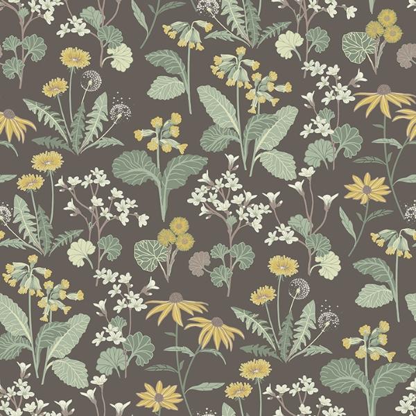 a street prints Magdalena Charcoal Dandelion Wallpaper