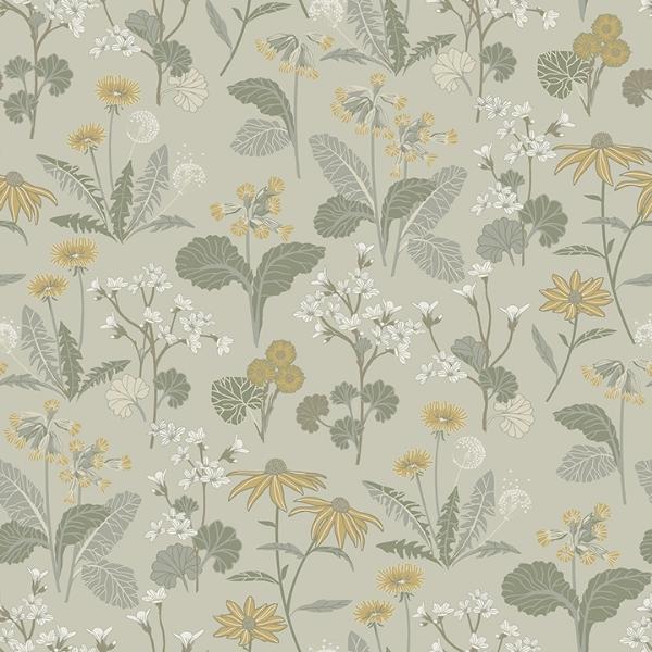 a street prints Magdalena Light Green Dandelion Wallpaper