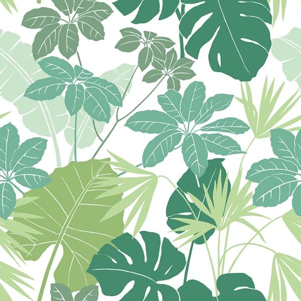 a street prints Medellin Green Rainforest Floor Wallpaper