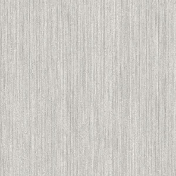 a street prints Midolin Bjork Dove Texture Wallpaper