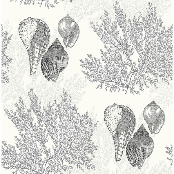 a street prints Nauset Black Seashell Shores Wallpaper