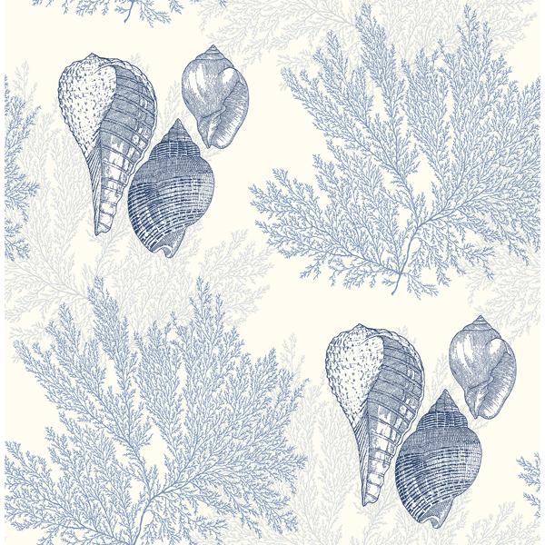 a street prints Nauset Blue Seashell Shores Wallpaper