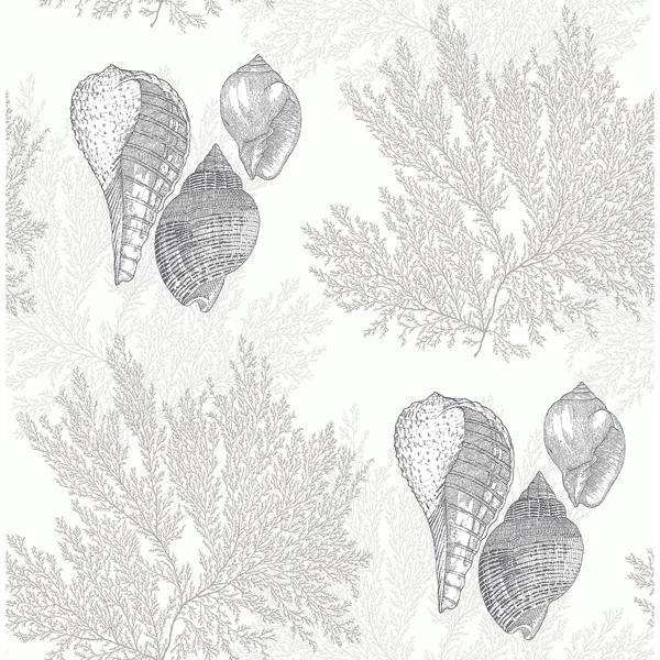 a street prints Nauset Cream Seashell Shores Wallpaper