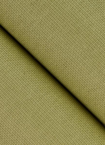 A Street Prints Qiaohui Green Petite Weave Wallpaper