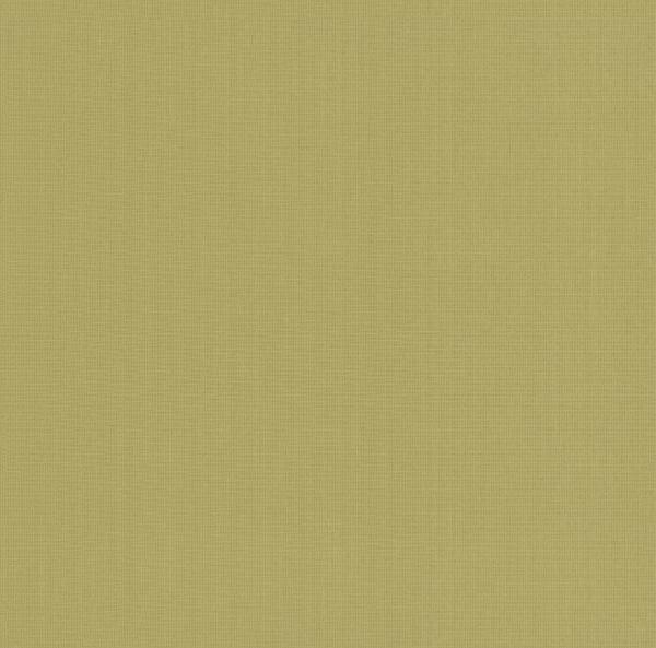 a street prints Qiaohui Green Petite Weave Wallpaper