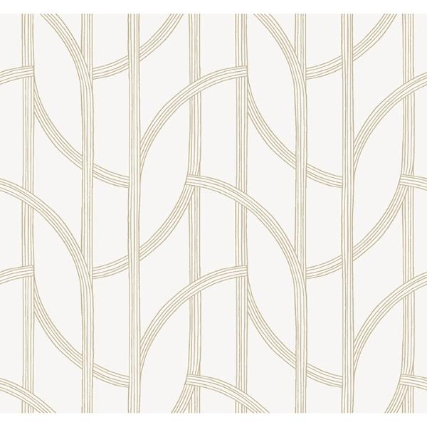 a street prints Salvo Gold Curved Contours Wallpaper