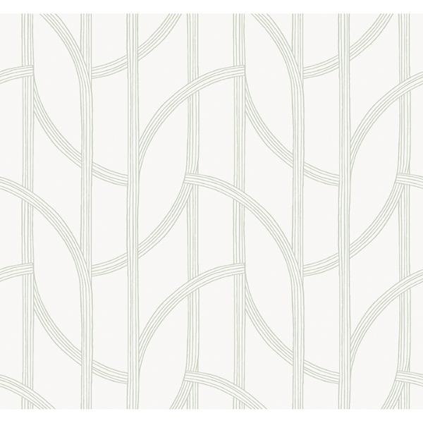 a street prints Salvo Light Green Curved Contours Wallpaper