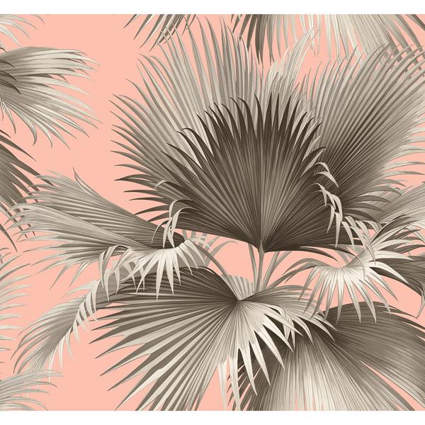 a street prints Summer Palm Blush Tropical Wallpaper