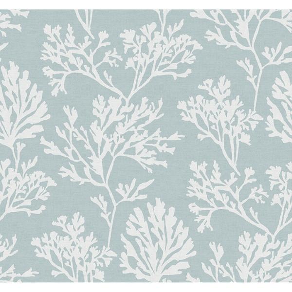 a street prints Tortuga Sky Blue Coral Weave Wallpaper