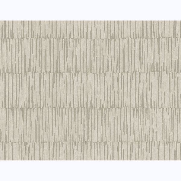a street prints Zandari Bone Distressed Texture Wallpaper