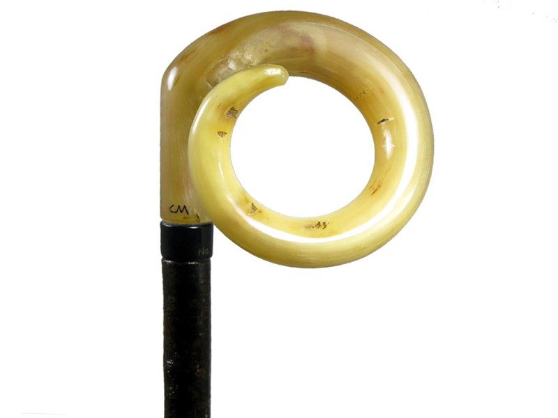 abbeyhorn Curly Ramshorn Walking Stick
