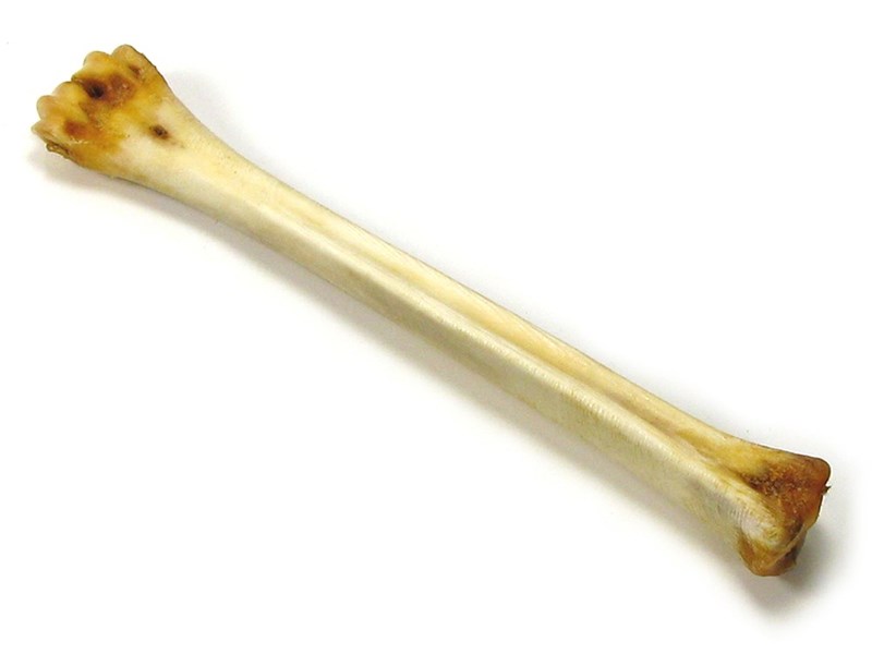 abbeyhorn Deer Polishing Bones