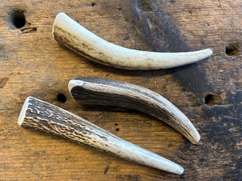 abbeyhorn Dog Chew - Antler Tip - 30-35g