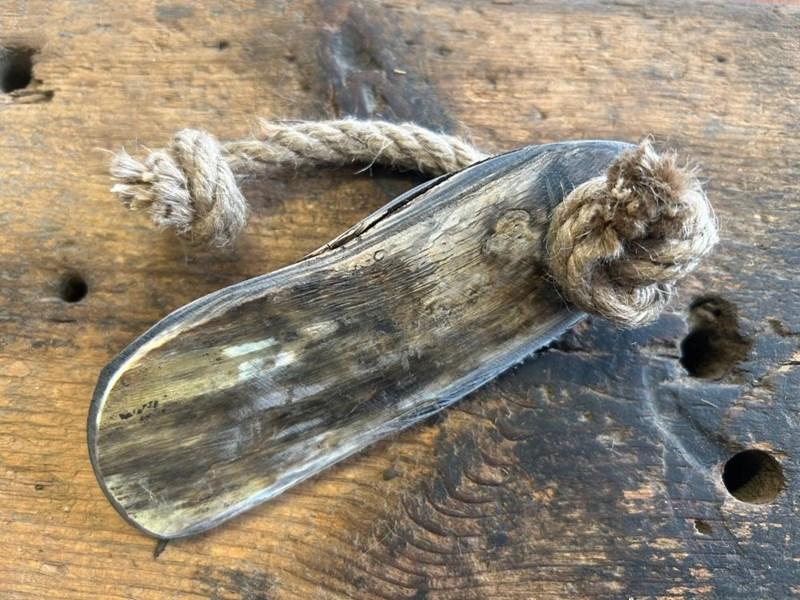 abbeyhorn Dog Chew - Flat - 5-6"