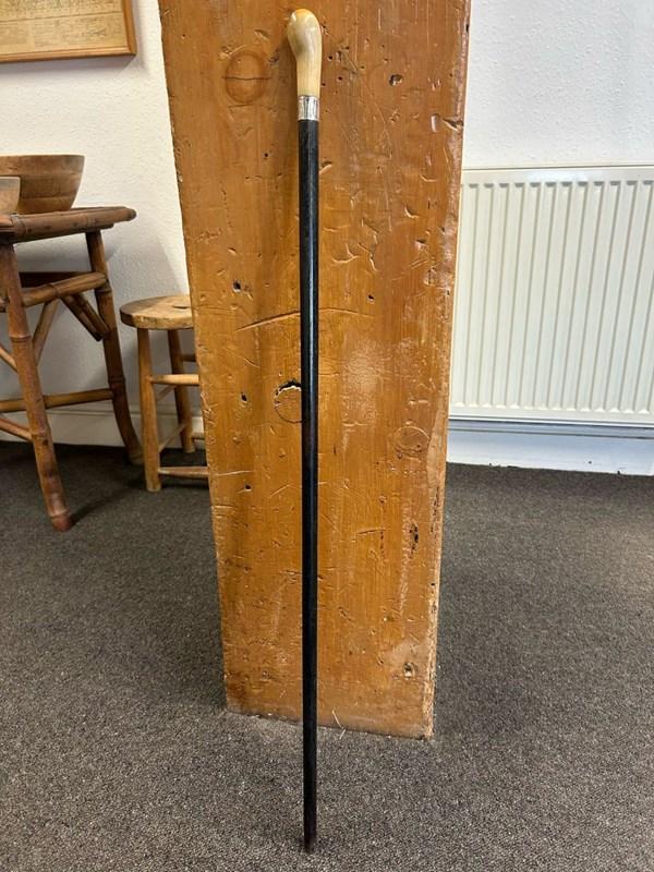 abbeyhorn Ebony Walking Stick with Silver Collar